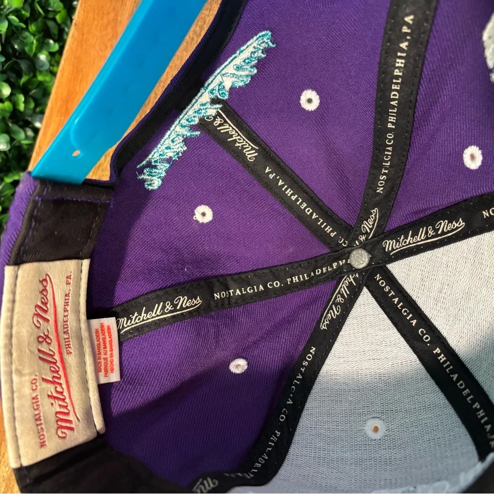 Charlotte Hornets Purple and Teal Cap
